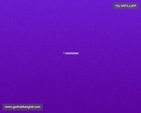 11年九月份嘉年华两箱小车